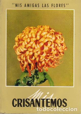 Libros: MIS AMIGAS LAS FLORES.- Crisantemos. - Foto 1