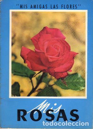 Libros: MIS AMIGAS LAS FLORES.- Rosas. - Foto 1