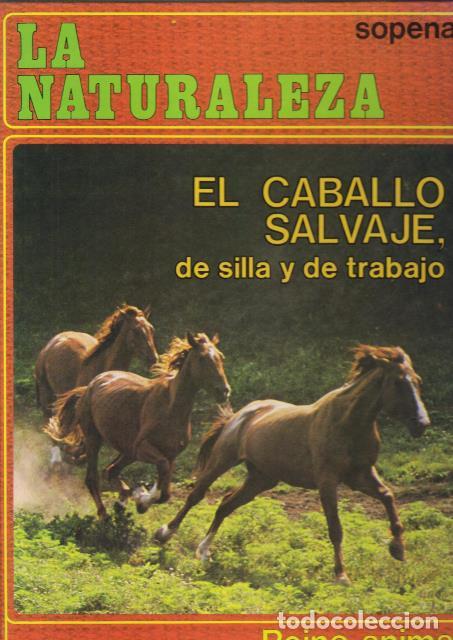 Libros: EL CABALLO SALVAJE, DE SILLA Y DE TRABAJO. - Foto 1