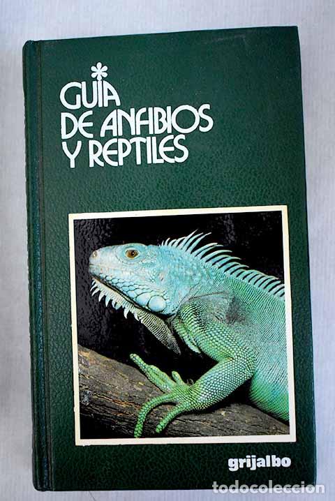 Libros: Gu&iacute;a de anfibios y reptiles.- Capula, Massimo - Foto 1