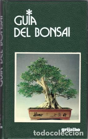 Libros: GIORGI, Gianfranco.- - Gu&iacute;a de Bonsai. - Foto 1