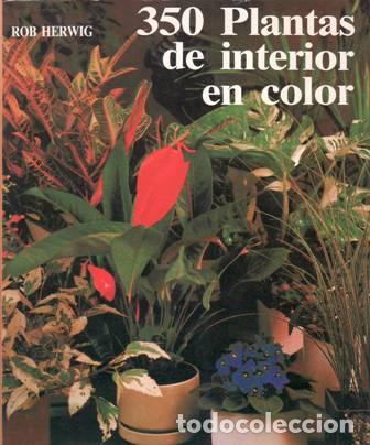 Libros: HERWIG, Rob.- - 350 plantas de interior en color. - Foto 1