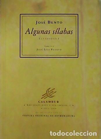 Libros: BENITO, Jos&eacute;.- - Algunas s&iacute;labas. Antolog&iacute;a. - Foto 1
