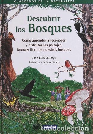 Libros: GALLEGO, Jose Luis.- - Descubrir los bosques. - Foto 1