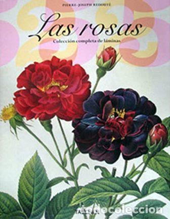 Libri di seconda mano: REDOUT&Eacute;, Pierre-Joseph.- - Las rosas. Colecci&oacute;n completa de l&aacute;minas.