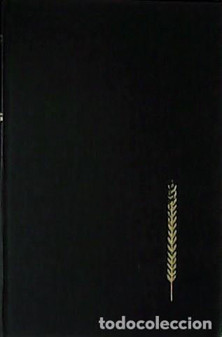 Libros: STENDHAL.- - Rojo y Negro. Cr&oacute;nica del siglo XIX. - Foto 1