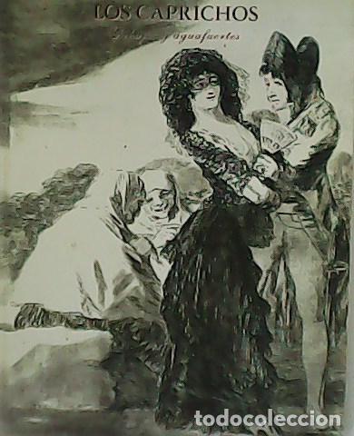 Libros: Goya. Los caprichos. Dibujos y aguafuertes. - Foto 1