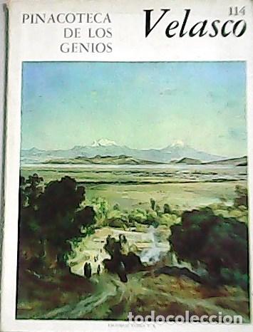 Libros: PINACOTECA DE LOS GENIOS. Velasco. N&ordm;114. - Foto 1