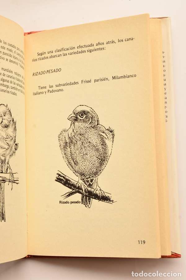 Libros: Canarios - CRAWFORD, W - Foto 4