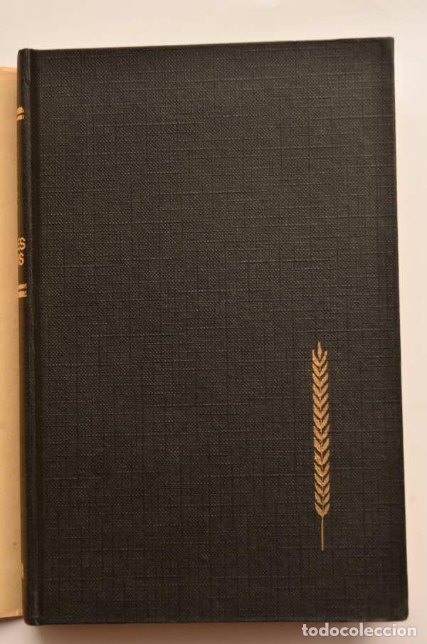 Libros: Oliver Twist - DICKENS, Charles - Foto 2
