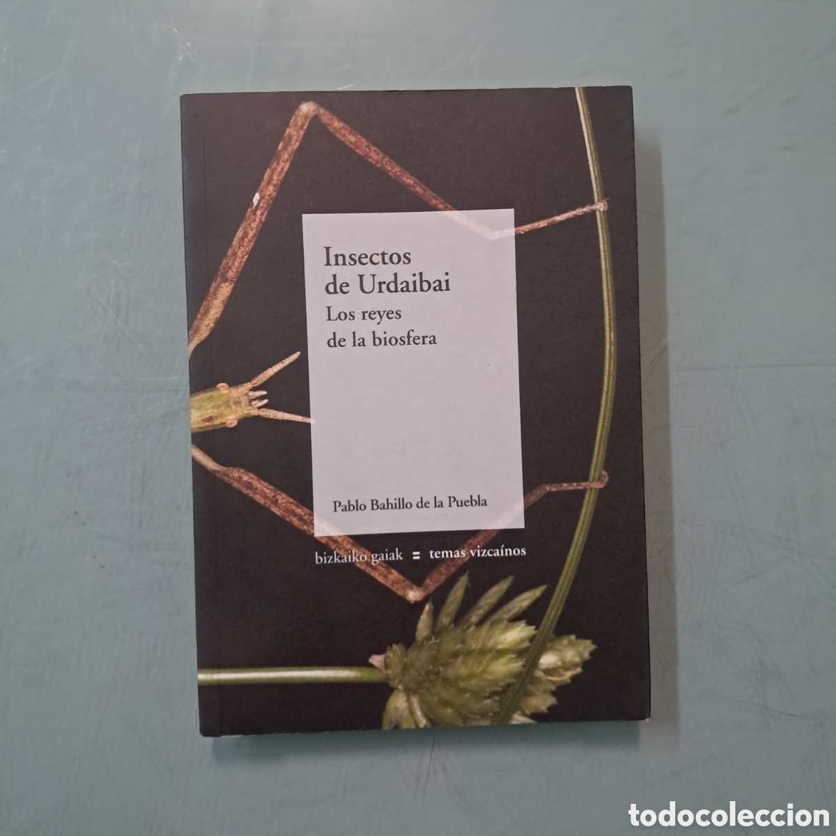 Libros: Temas vizca&iacute;nos, BBK Insectos de Urdaibai - Foto 1