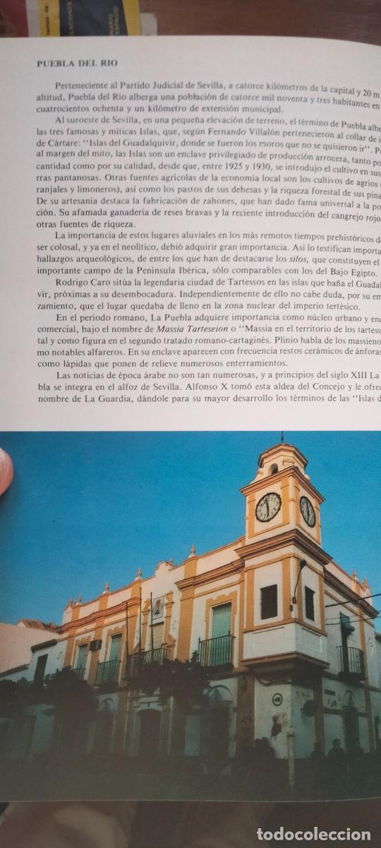 Libros: SEVILLA Y SU PROVINCIA EN 4 TOMOS - Foto 7