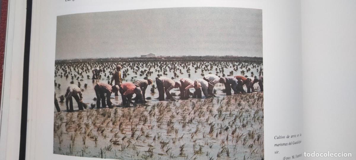 Libros: SEVILLA Y SU PROVINCIA EN 4 TOMOS - Foto 20