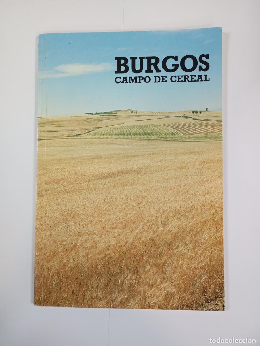 Libri di seconda mano: Burgos. Campo de cereal. - Valent&iacute;n de la Cruz. TDK559