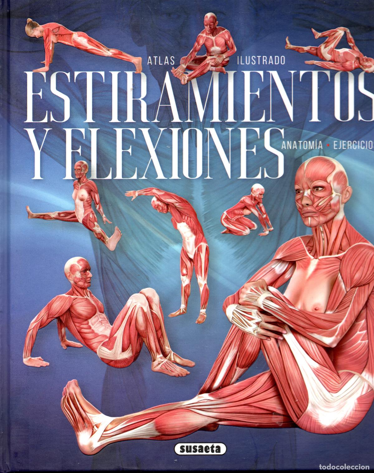 Libros: ESTIRAMIENTOS Y FLEXIONES - SUSAETA - Foto 1