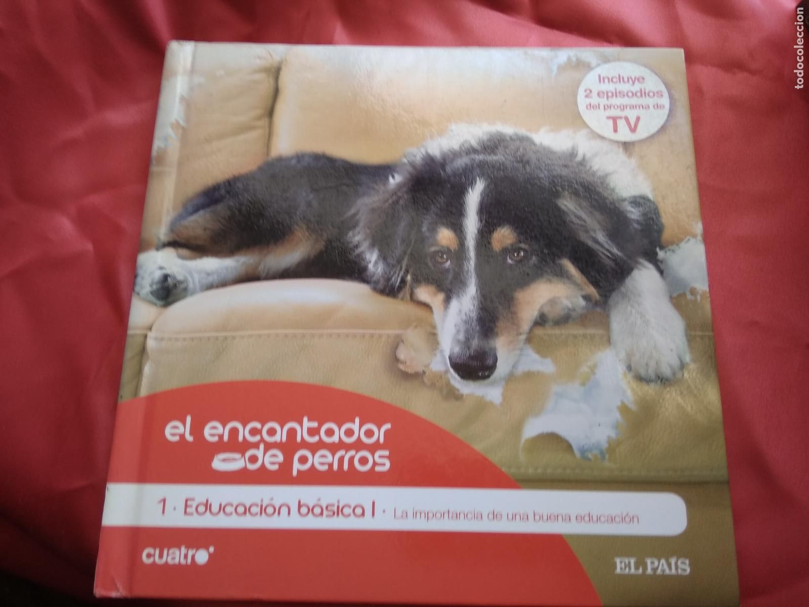 Libri di seconda mano: El encantador de perros 1- Educaci&oacute;n b&aacute;sica L.20558-826 (Contiene cd)