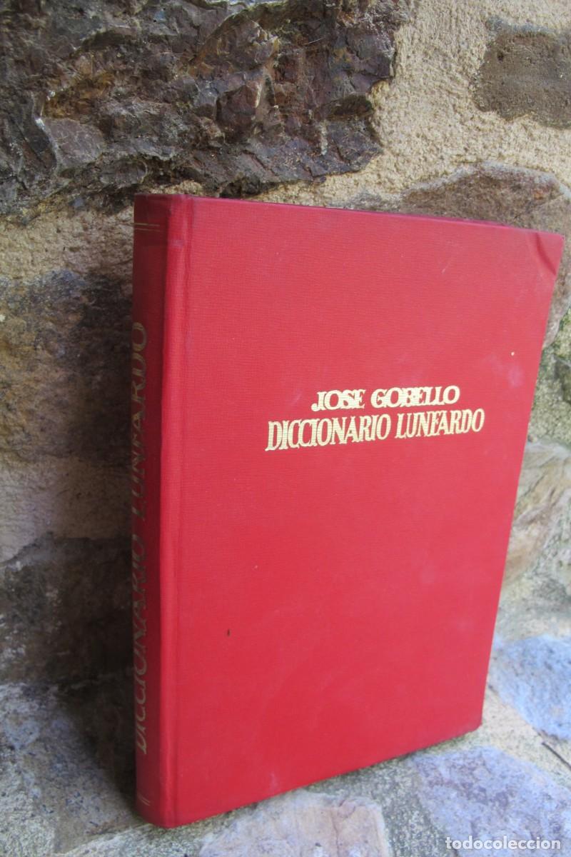 Libros: DICCIONARIO LUNFARDO. JOSE GOBELLO - Foto 1