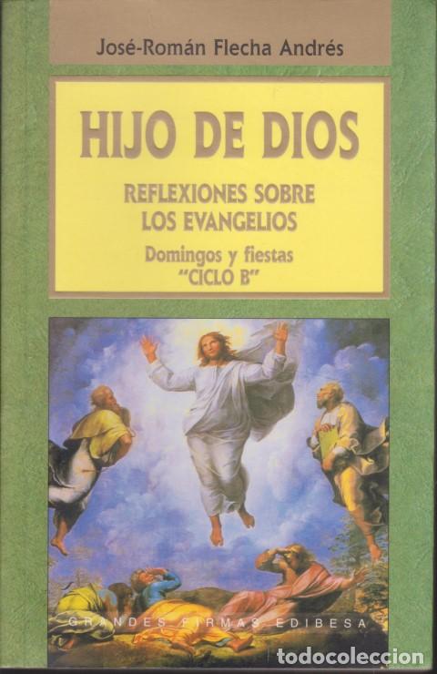 books: HIJO DE DIOS. REFLEXIONES SOBRE LOS EVANGELIOS. DOMINGOS Y FIESTAS. CICLO B - JOS&Eacute;-ROM&Aacute;N FLECHA ANDR