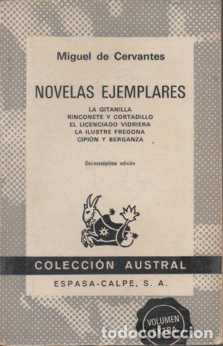 Libros: Novelas Ejemplares - Miguel De Cervante - Foto 1