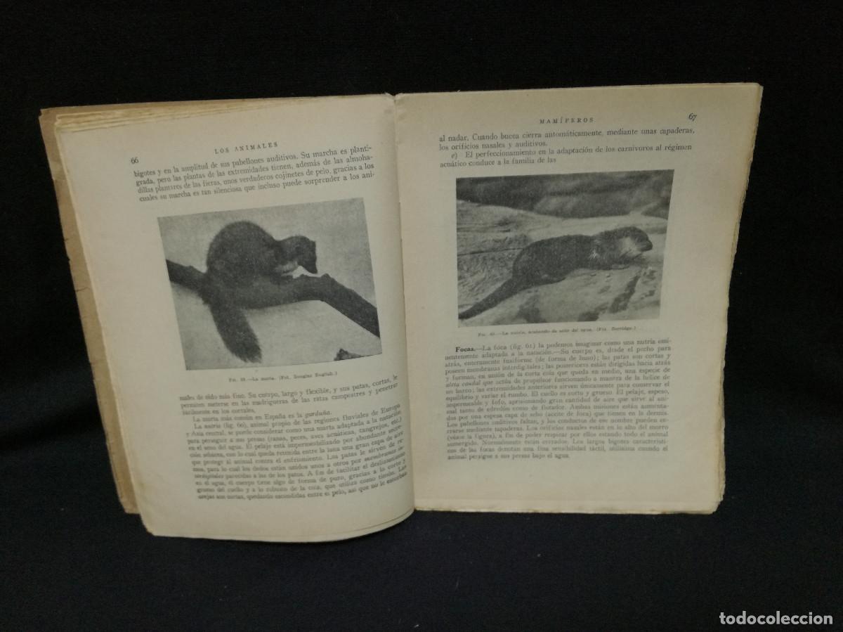 Libros: LIBRO + PROGRAMA - CIENCIAS COSMOL&Oacute;GICAS SEGUNDO CURSO - 1943 SALUSTO ALVARADO - Foto 6