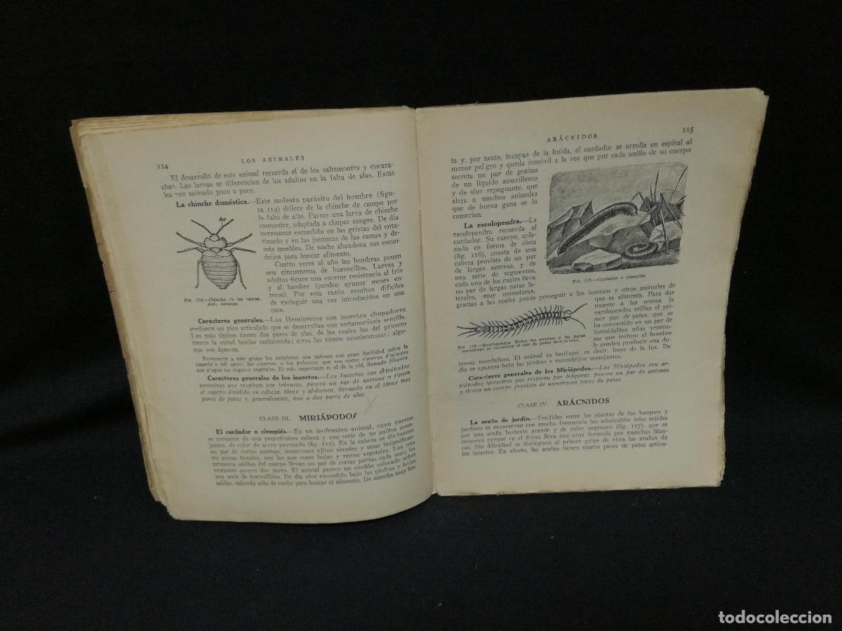 Libros: LIBRO + PROGRAMA - CIENCIAS COSMOL&Oacute;GICAS SEGUNDO CURSO - 1943 SALUSTO ALVARADO - Foto 7