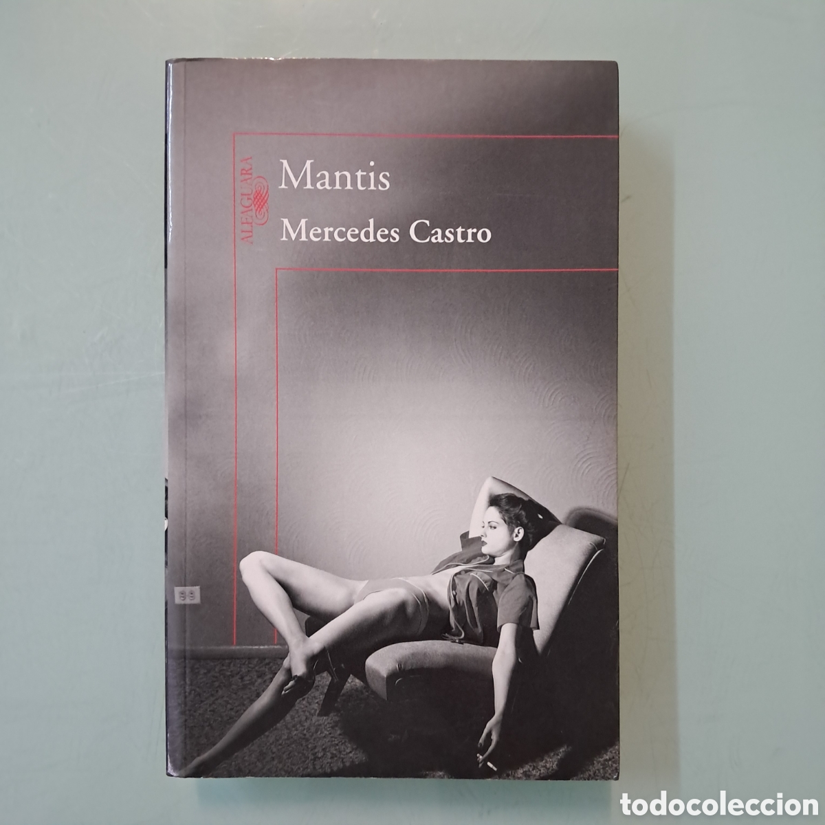 Libros: Mercedes Castro Mantis, Alfaguara - Foto 1