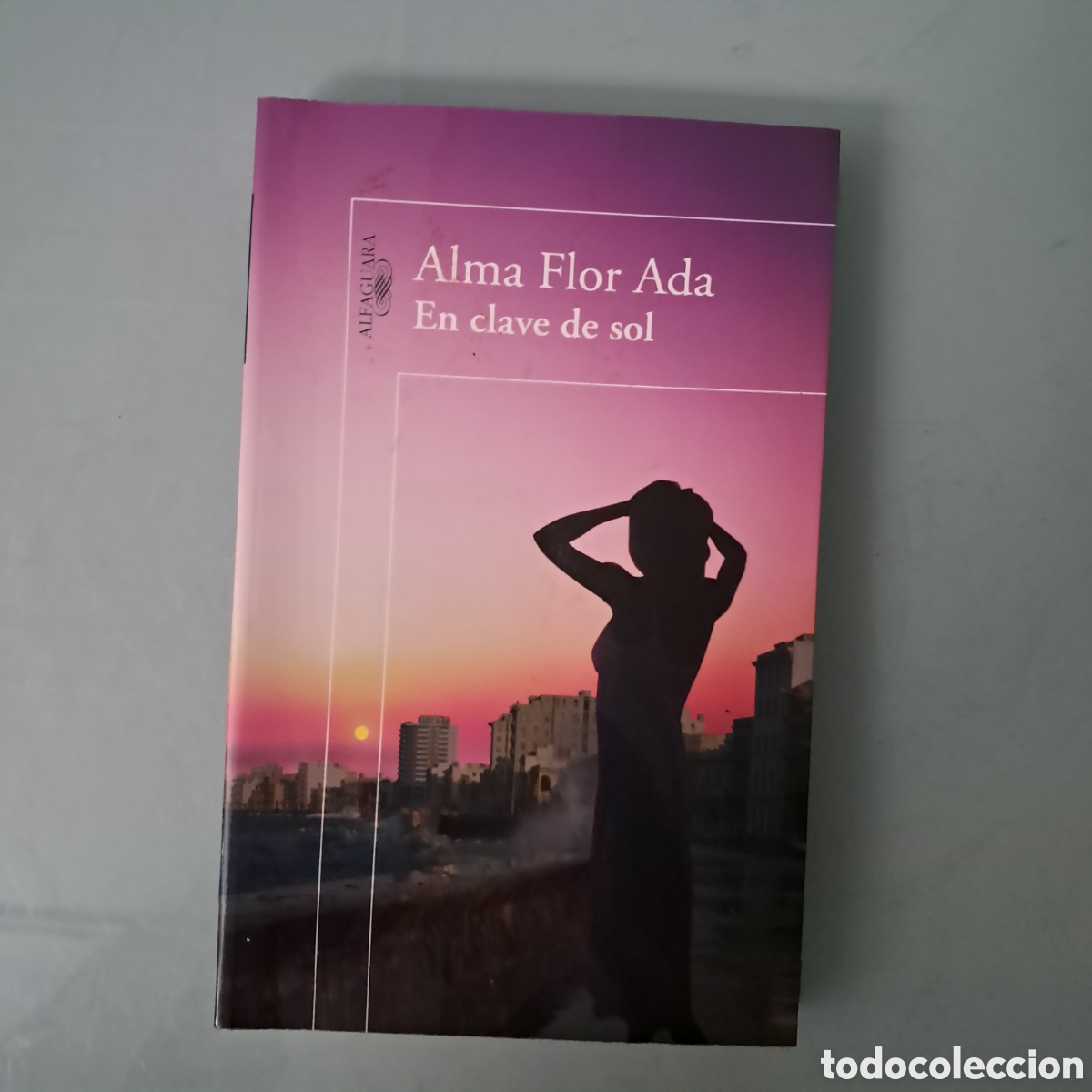 Libros: Alma Flor Ada En clave de sol, Alfaguara - Foto 1