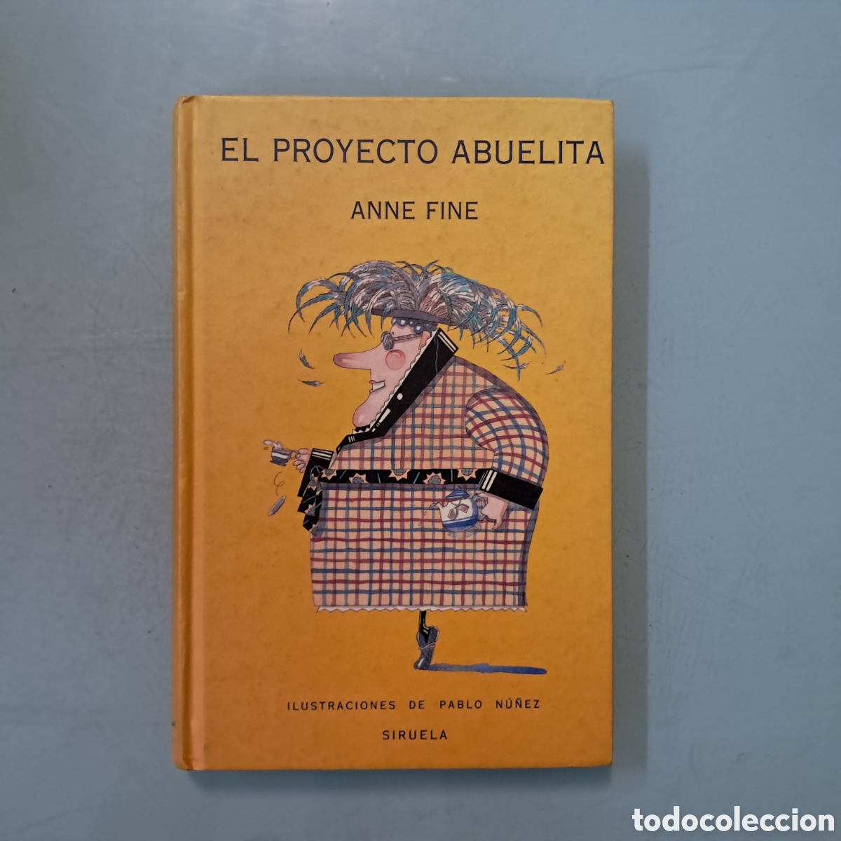 Libros: Anne Fine ,El proyecto abuelita , Siruela - Foto 1