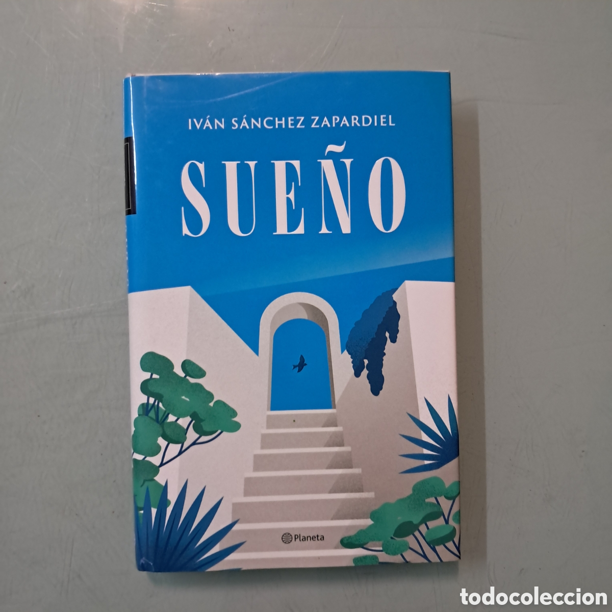 Libros: Ivan S&aacute;nchez zapardiel, Sue&ntilde;o, Planeta - Foto 1