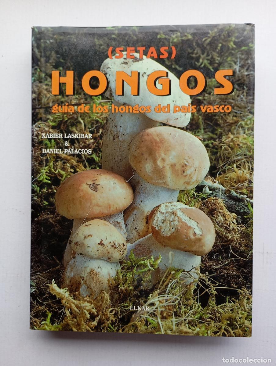 Libri di seconda mano: Hongos. Gu&iacute;a de los hongos del Pa&iacute;s Vasco. Setas. - Xabier Laskibar. Daniel Palacios. TDK475B