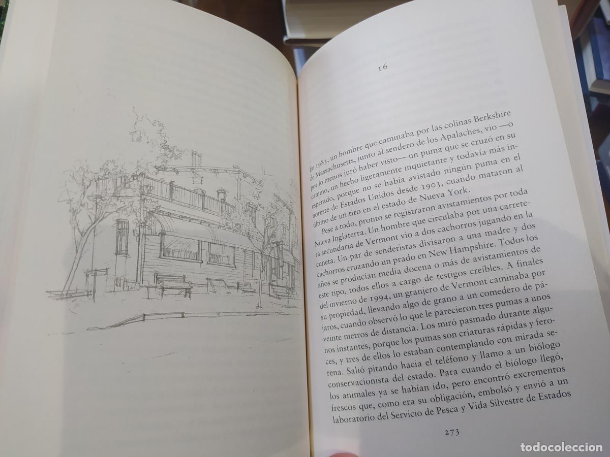Libros: Un paseo por el bosque - Bryson, Bill - Foto 3