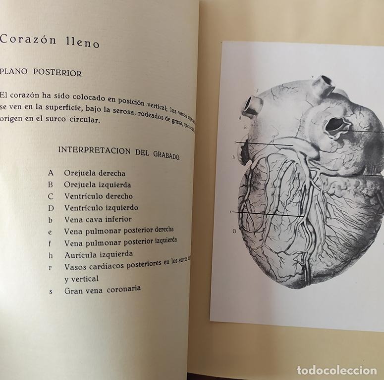 Libros: &rdquo;ESTRUCTURA DEL CORAZ&Oacute;N SEG&Uacute;N LA &rdquo;&rdquo;ANATOM&Iacute;A HUMANA&rdquo;&rdquo;&rdquo; - J. M. BOURGERY - Foto 2