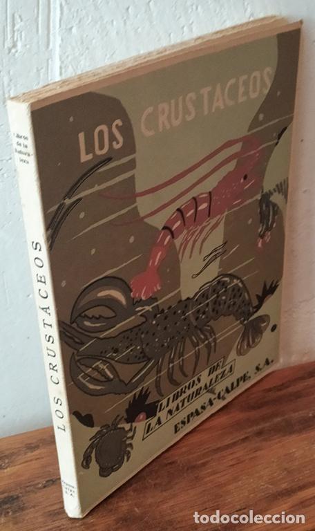 Libros: LOS CRUST&Aacute;CEOS - JOSEFA MART&Iacute; DE TORTAJADA - Foto 1