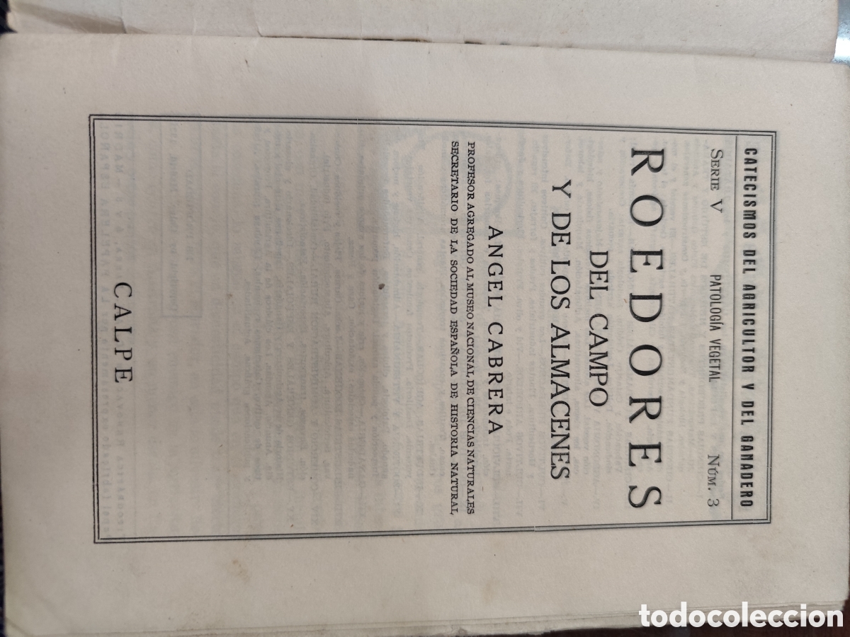 Libros: ROEDORES DEL CAMPO Y DE LOS ALMACENES - CABRERA,Angel. - Foto 2