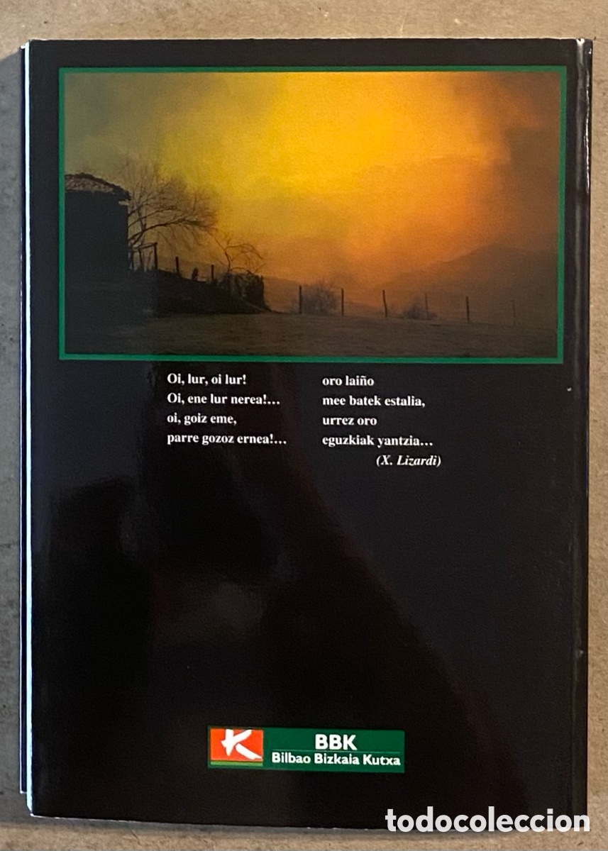 Libros: GORBEIA. ENRIKE AZKUNA DIMA. EDITA BBK 1993. - Foto 7