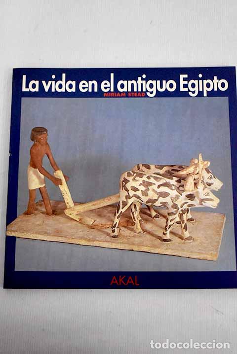 Libros: La vida en el antiguo Egipto.- Stead, Miriam - Foto 1