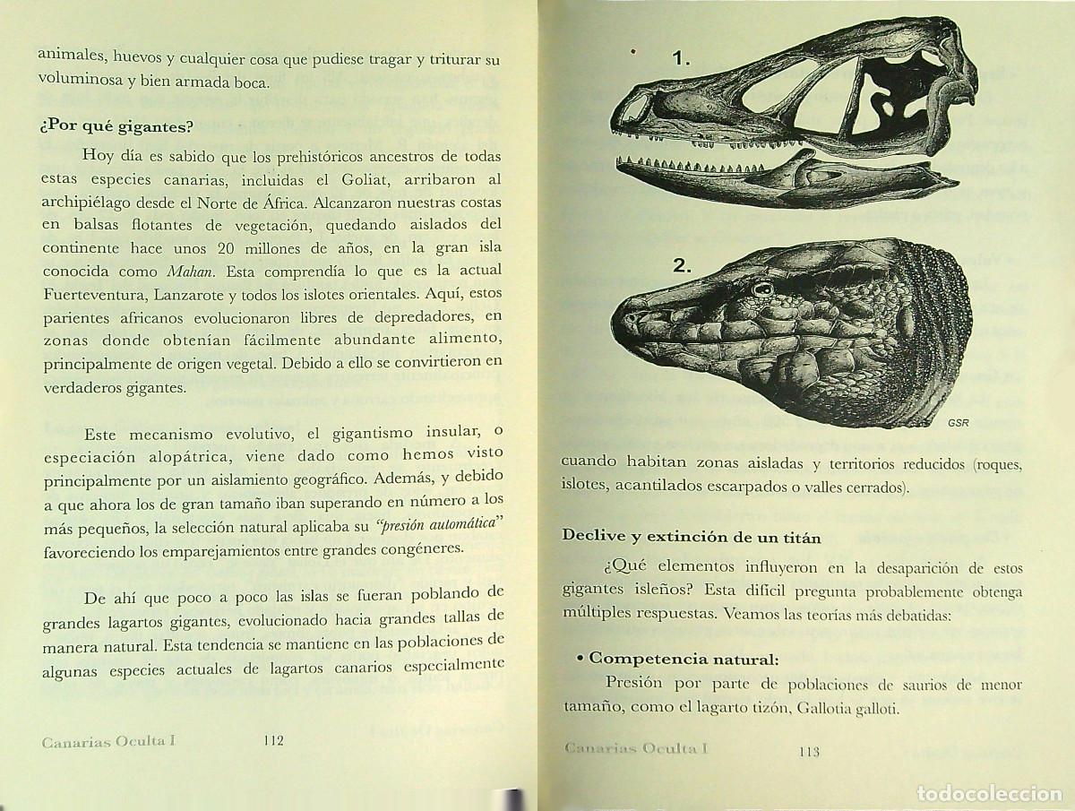 Libros: CANARIAS OCULTA - JOS&Eacute; GREGORIO GONZ&Aacute;LEZ - 2017 - Foto 4