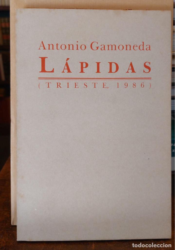 Libros: L&Aacute;PIDAS. - GAMONEDA, Antonio. - Foto 1