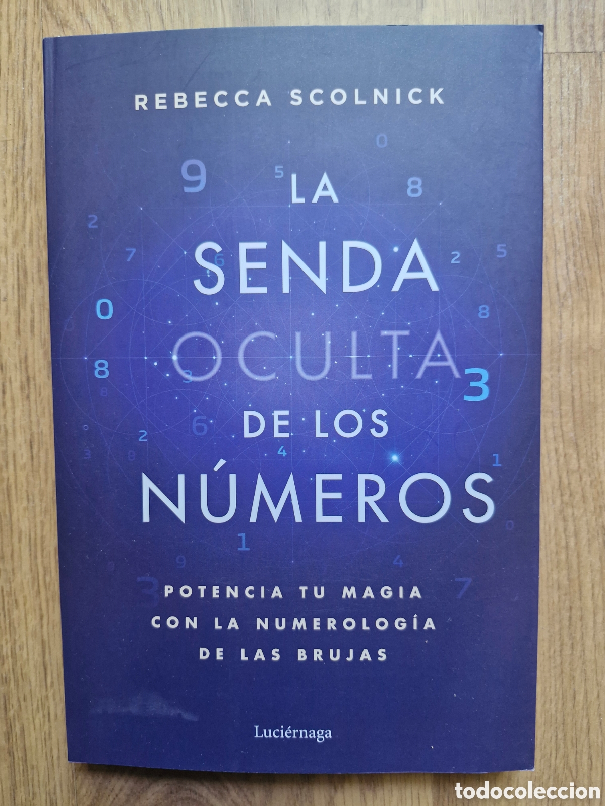 Libros: LA SENDA OCULTA DE LOS N&Uacute;MEROS - Rebecca Scolnick - Foto 1