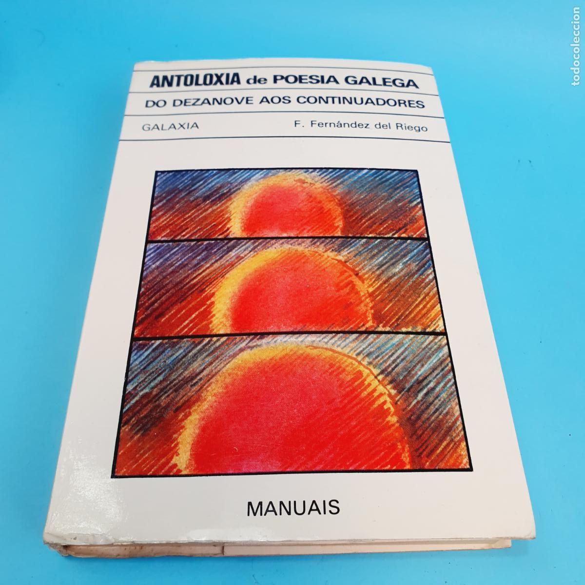 Libros: ANTOLOX&Iacute;A DE POES&Iacute;A GALEGA,DO DEZANOVE AOS CONTINUADORES-GALAXIA-F.FERN&Aacute;NDEZ DEL RIEGO-1976-MANUAIS