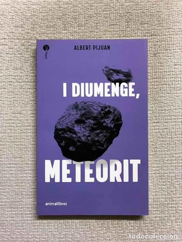 Libros: I diumenge, meteorit - Albert Pijuan - Foto 1