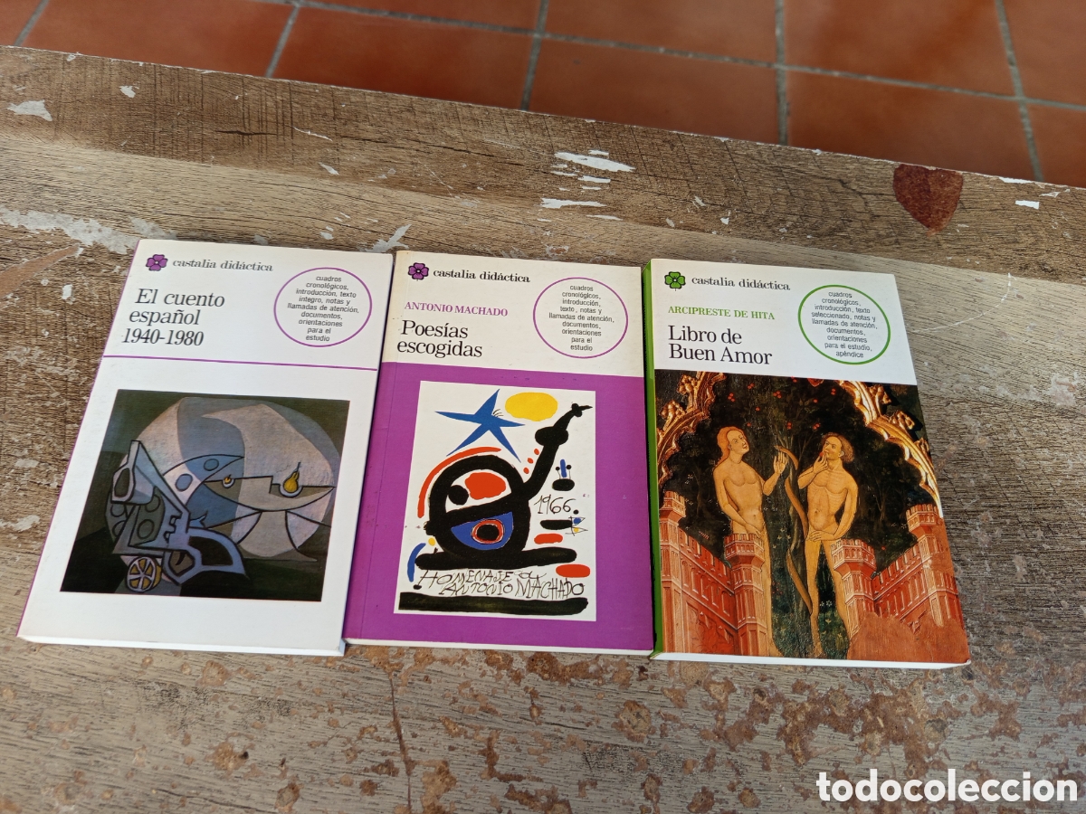 Libros: Tres libros Castalia did&aacute;ctica - Foto 2