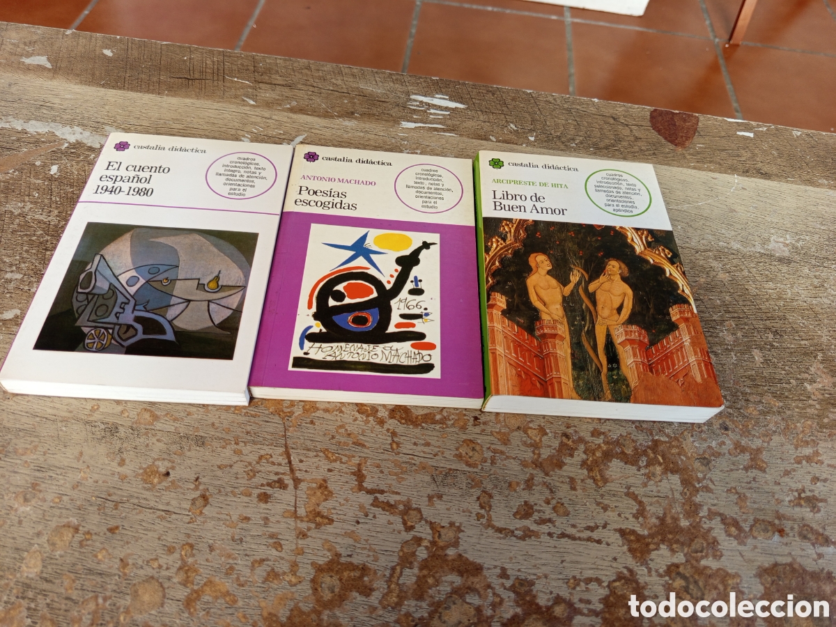 Libros: Tres libros Castalia did&aacute;ctica - Foto 1