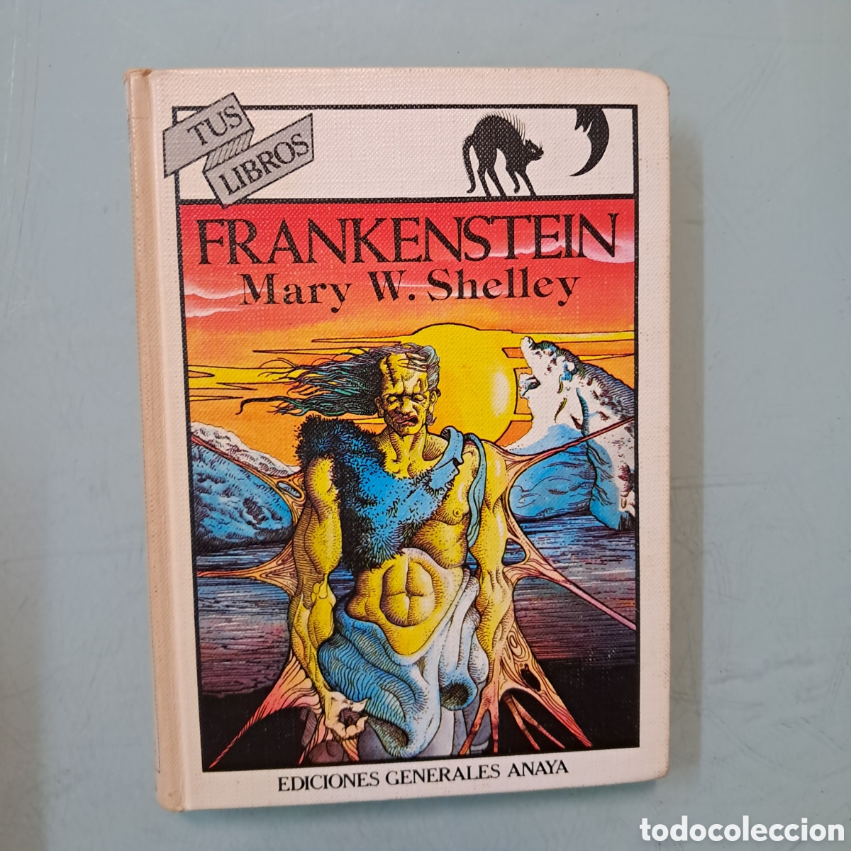 Libros: Tus libros, Anaya, Frankenstein, Mary W.Shelley - Foto 1