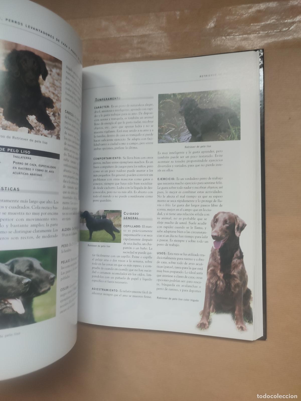 Libros: ENCICLOPEDIA DE LOS PERROS. - ESTHER VERHOEF. - Foto 2