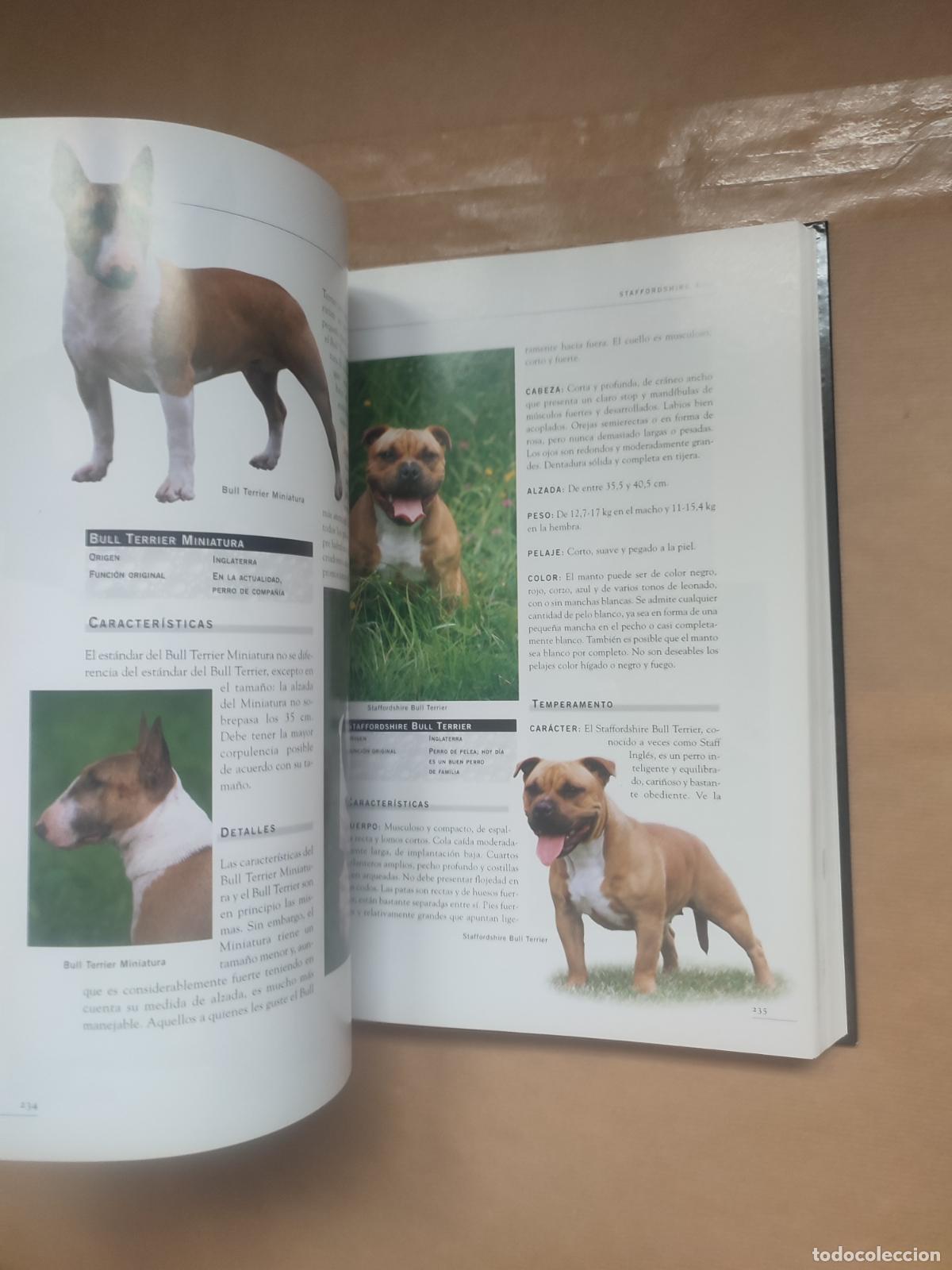 Libros: ENCICLOPEDIA DE LOS PERROS. - ESTHER VERHOEF. - Foto 4