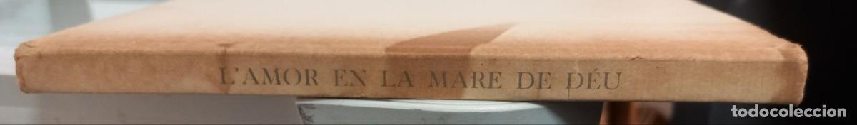Libros: Lamor en la Mare de D&eacute;u. - SAPERAS, Miquel: - Foto 2