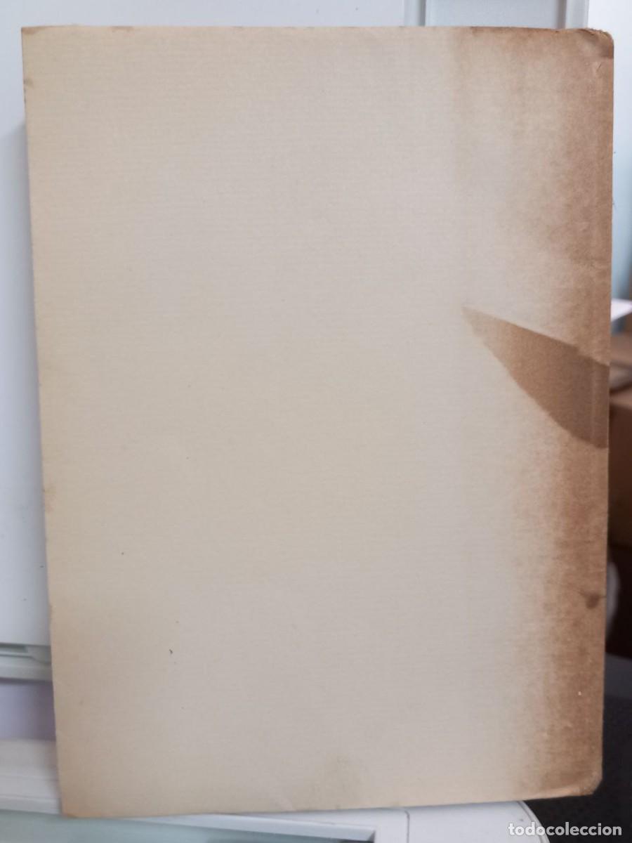 Libros: Lamor en la Mare de D&eacute;u. - SAPERAS, Miquel: - Foto 3