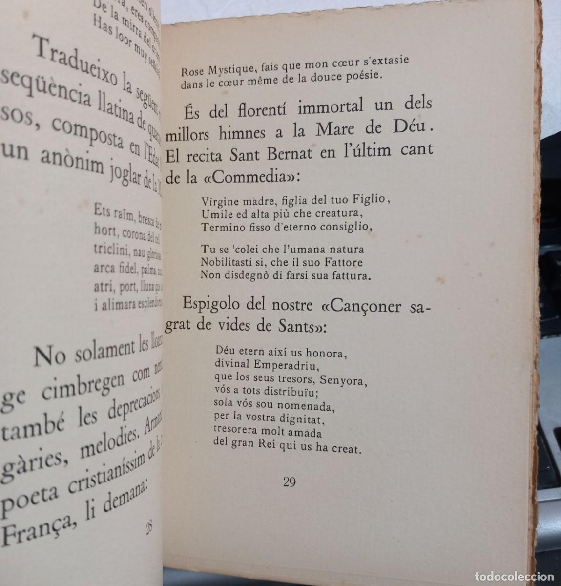 Libros: Lamor en la Mare de D&eacute;u. - SAPERAS, Miquel: - Foto 6