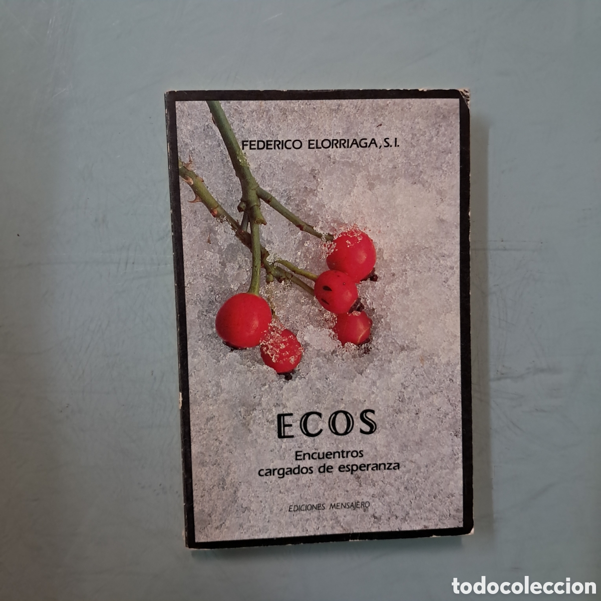 Libros: Federico Elorriaga,Ecos,Mensajero - Foto 1